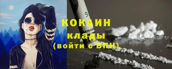 apvp Алзамай